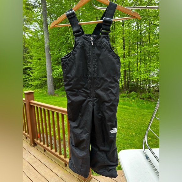 The North Face Other - The North Face Unisex Kids Freedom Bib Ski Pants